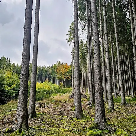 Posledni Mile * Milovy