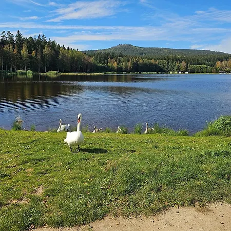 Posledni Mile
